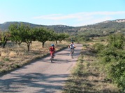 V�lo dans les dentelles de Montmirail - H�tel du Fiacre - Carpentras