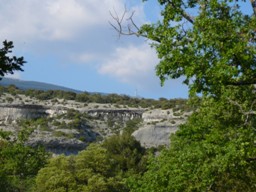 Combe au pied du Ventoux - B�doin - H�tel Du Fiacre - Carpentras