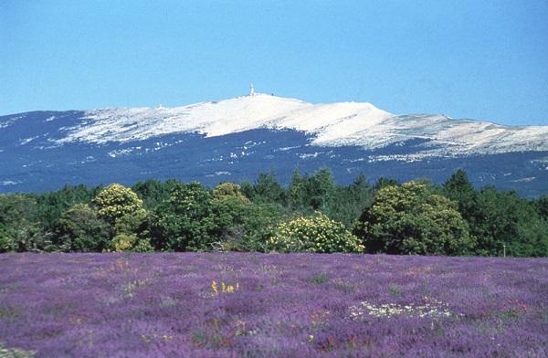 Mont ventoux - Hôtel du Fiacre - Carpentras