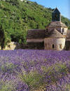 Abbaye de S�nanque