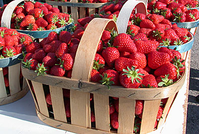 Fraises de Carpentras - H�tel du Fiacre