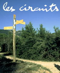 circuits randonn�es p�destres disponible � l'h�tel du Fiacre - Carpentras