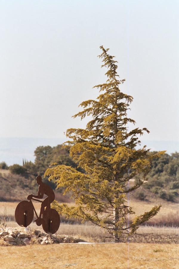 Sommet-Mont-Ventoux-H�tel-du-Fiacre-Carpentras